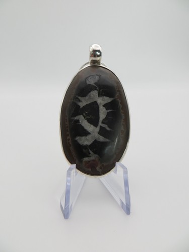Septarium fossil anhänger - septarium,