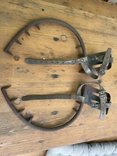 Steigeisen Baum antik