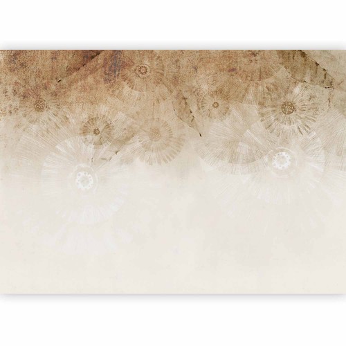 Pusteblumen natur vlies - natur,