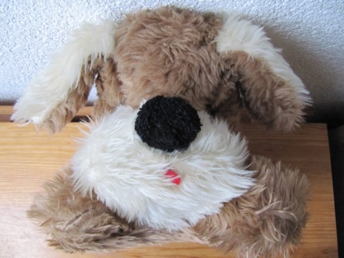 Heunec zottel hund terrier - zottel,