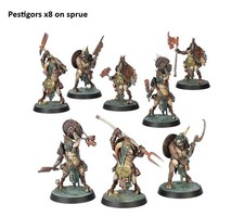 Pestigors 8 Warhammer Quest