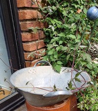 alte  Zink-Wanne Saatwanne mit