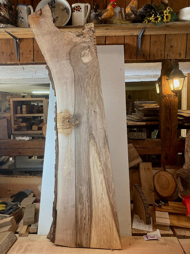 Nussbaum holzdiamant mm - holzdiamant,