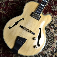Ibanez PM200-NT Signature