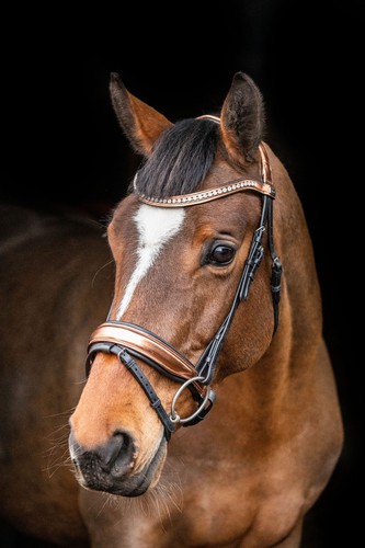 Equipride anatomische trense - equipride,