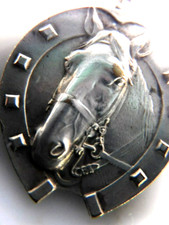 Großer Medallion Pferdekopf