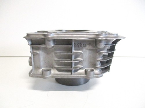 Original zylinder 248ccm - original,