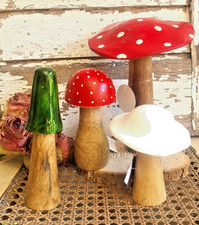 Pilze Pilz Holz Fliegenpilz