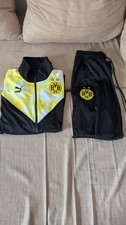 BVB Borussia Dortmund Iconic