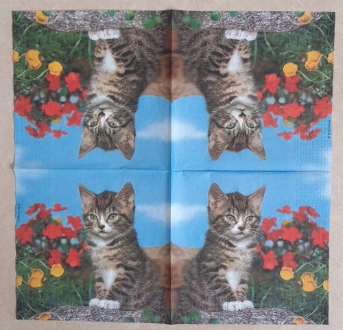 Servietten katze blumen - servietten,
