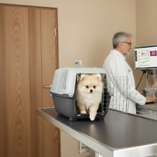 Tiertransportbox, leichte &