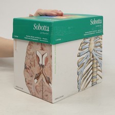 Sobotta Lernkarten Knochen