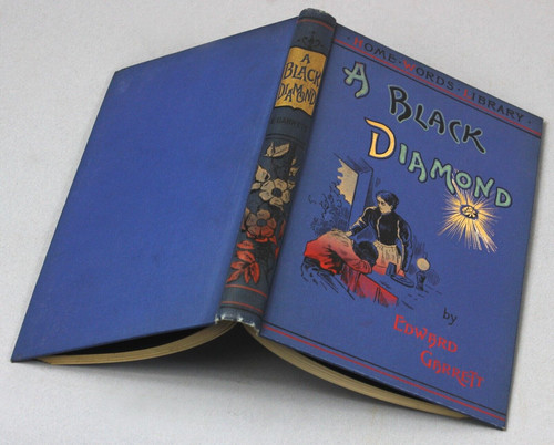 Rare racial prejudice novel - ,