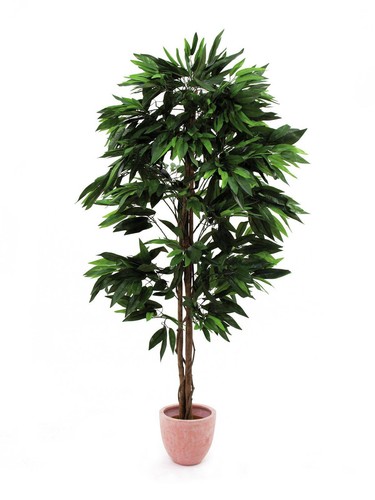 Artplants deko mangobaum 970 - artplants,