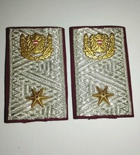 Polizei Dienstgrad Österreich Abteilungsinspektor E2a | Police Rank Austria, RAR