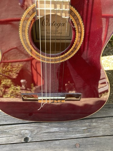 Ortega 131