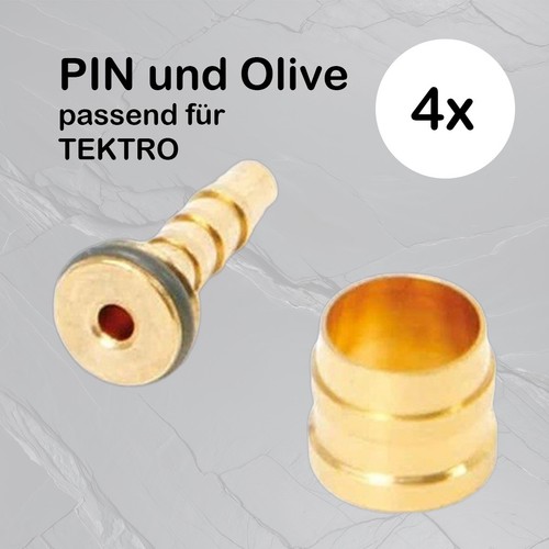 Olive und pin für - paar),