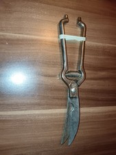 Geflügelschere Edelstahl