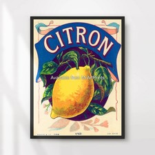 Gelbe zitrone zitrusfrüchte - gelbe,