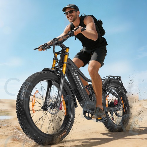 Mountainbike 48v 20ah - e-mountainbike,