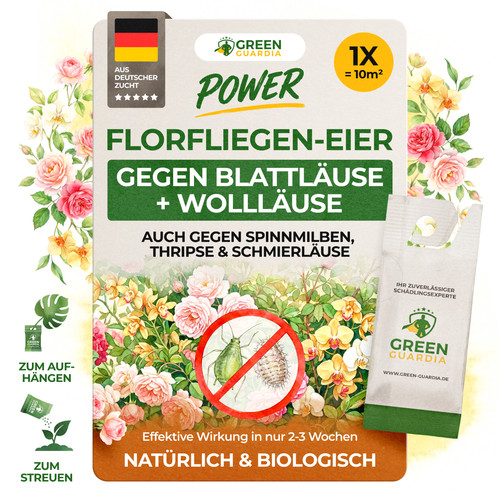 Florfliegenlarven gegen