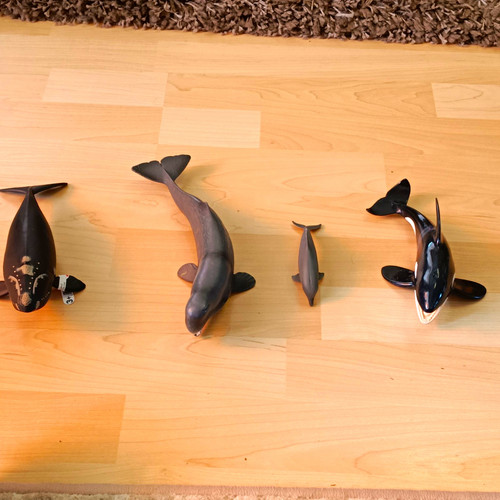 Schleich meerestiere - schleich,