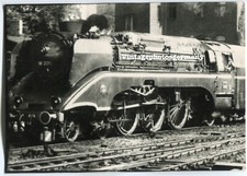 D1813 Photo 1960 Steam