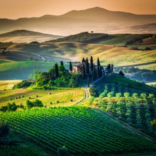 Wandbild: Val d Orcia