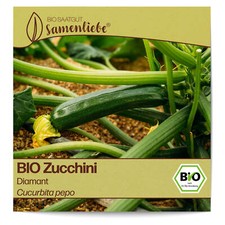 BIO Zucchini Samen Sorte