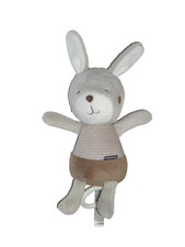 Hase Häschen Bunny Hasi grau