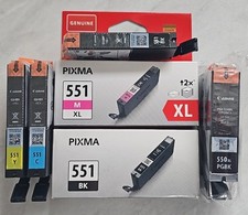 6 OEM Canon Patronen 1x 550XL