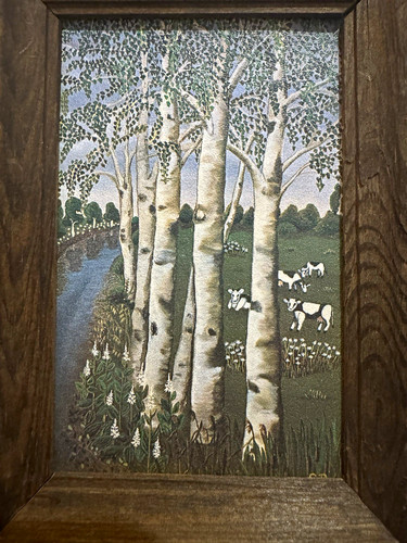 Gerahmtes wandbild birkenwald - gerahmtes,