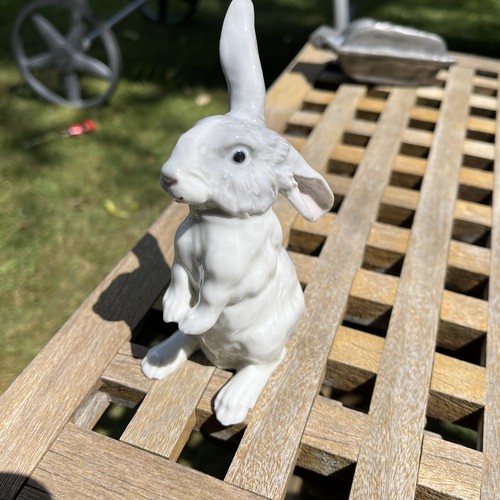 Antiker porzellan hase - hase, –