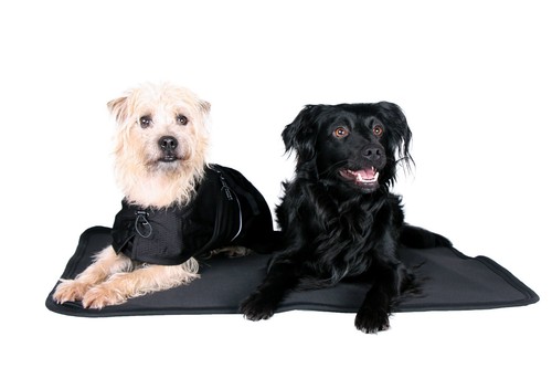 Back track hundematratze - back,
