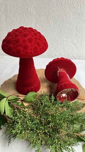 Pilz glas bis samt - pilz, cm