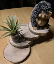 Deko regal holz - holz, tonieregal