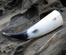 Trinkhorn poliert 0,3L