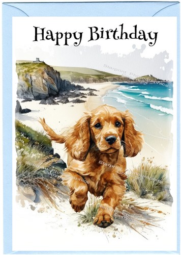 Cocker spaniel goldener hund - goldener,