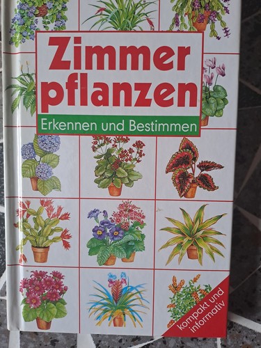 Zimmerpflanzen erkennen und - zimmerpflanzen.,
