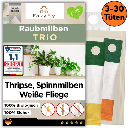 Raubmilben trio gegen - gegen, thripse