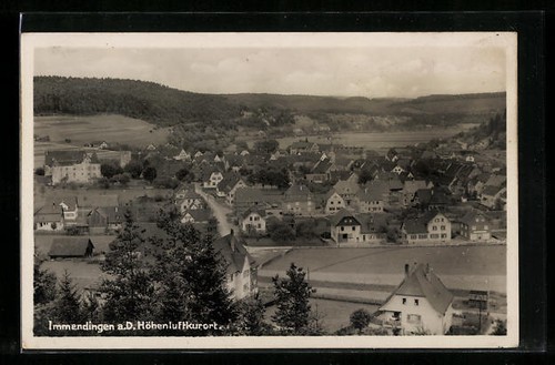 Immendingen d - a.,