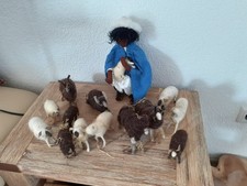 Egli Krippefiguren Hirte mit Schaf und Ziegenherde (13Tiere gemischt)