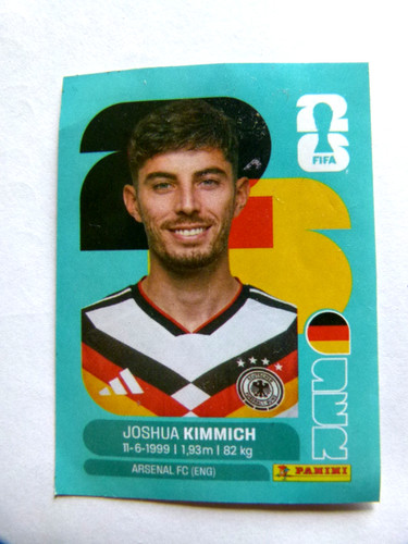 Panini 2026 sticker - wm,