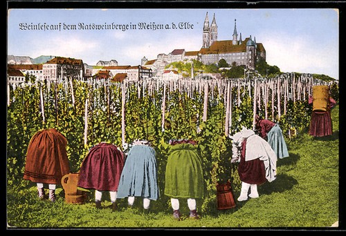 Ansichtskarte meissen - ansichtskarte,