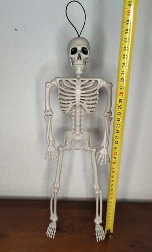 Skelett halloween beweglich - skelett,