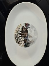 Seltene Mitterteich Porzellan Bavaria Platte Wildschwein Motiv Jagd