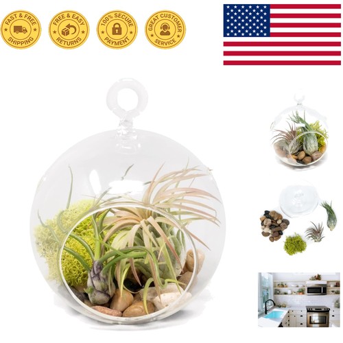 Modern flat bottom terrarium - bottom,