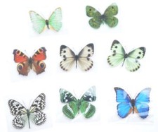 12 Schmetterlinge mit Magnet