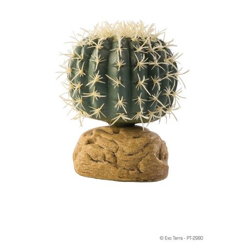 Exo terra terrarien - exo,