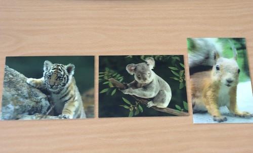 Alte tiere postkarten - 3d,